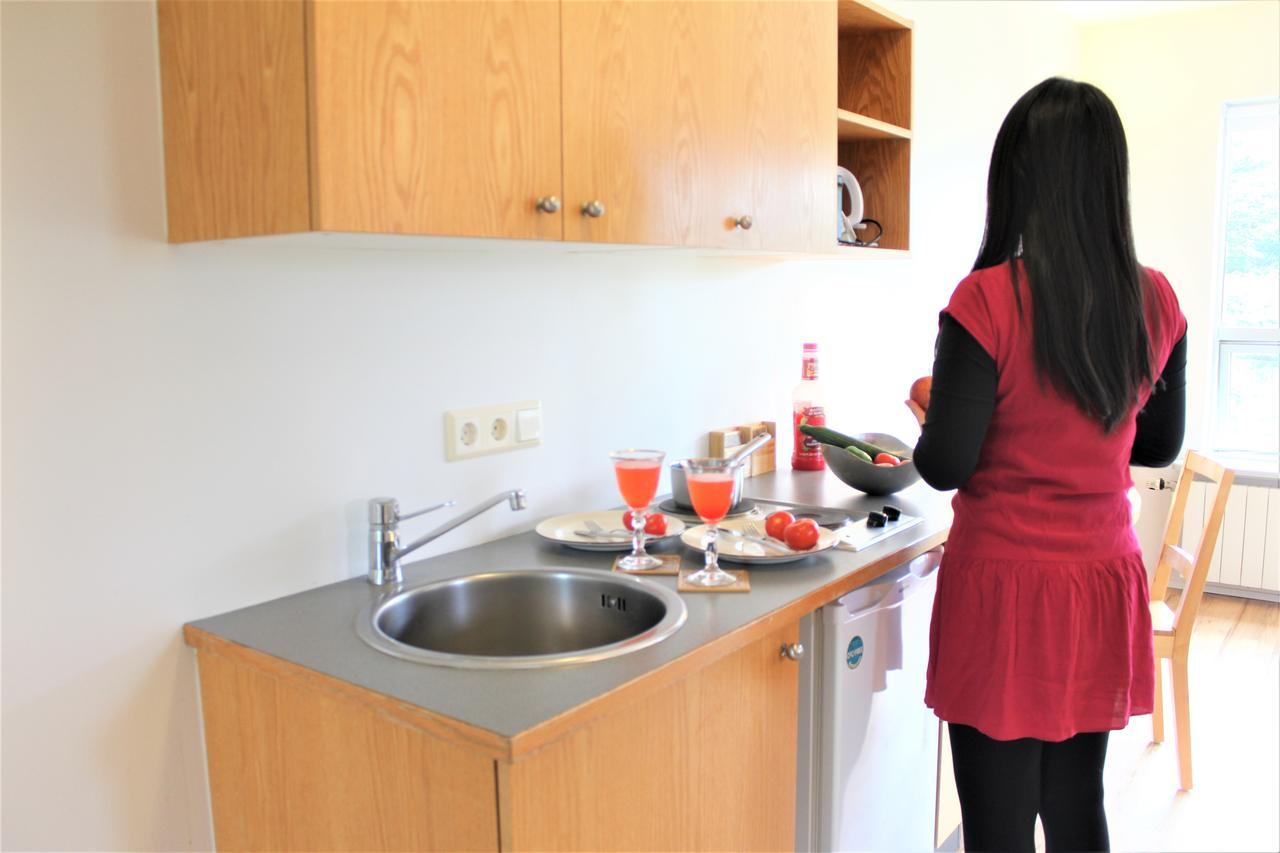 Solheimar Eco-Village Guesthouse Luaran gambar